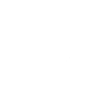 Partner Veltins